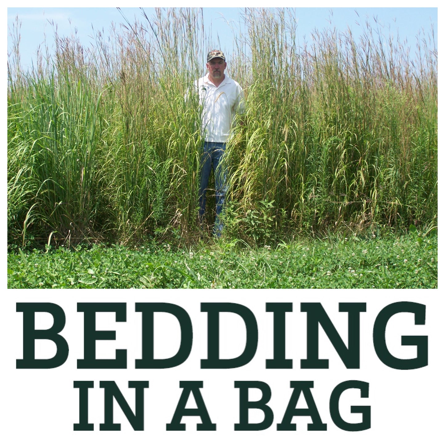 Real World's Bedding in a Bag