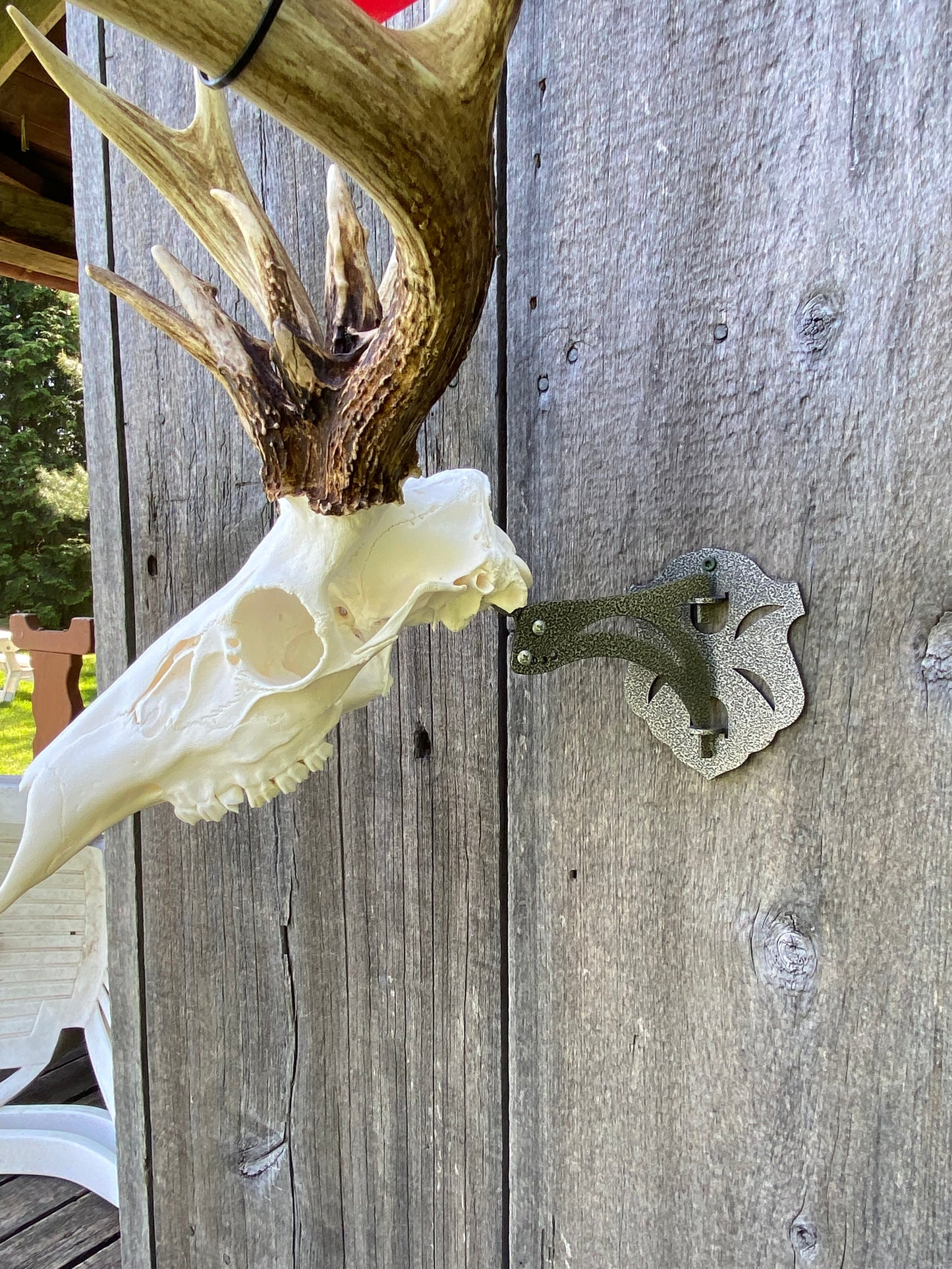 Deer Mounts