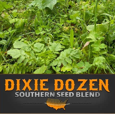 Real World's Dixie Dozen