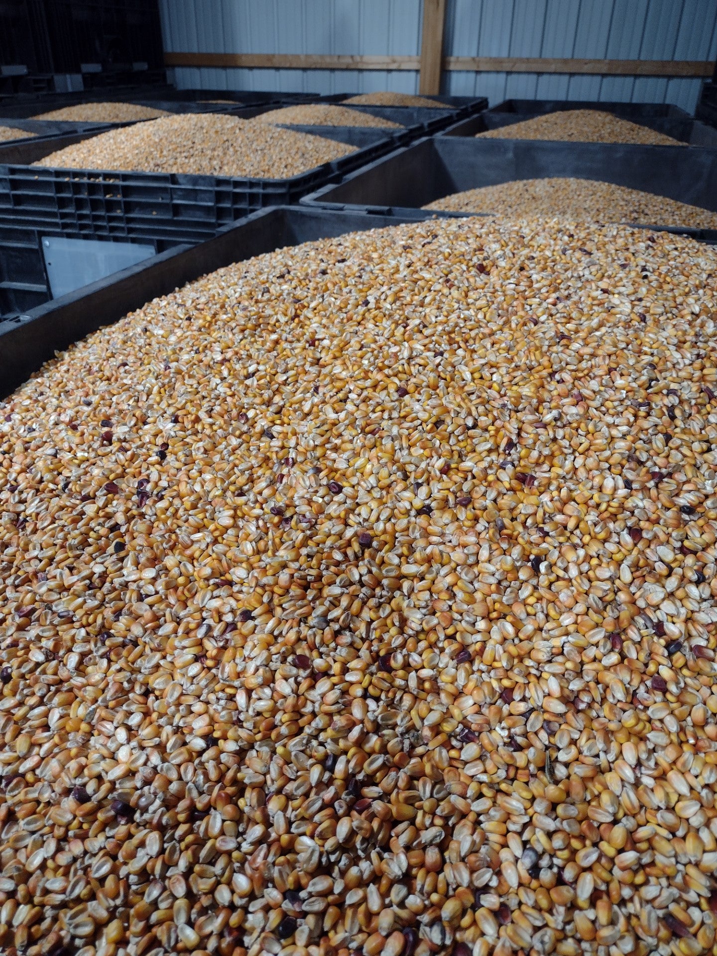 Real World's Nutri-Crave Deer Corn