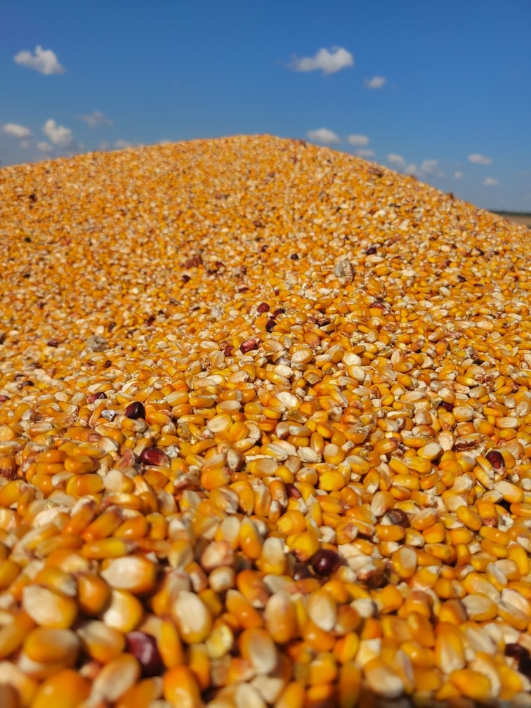 Real World's Nutri-Crave Deer Corn