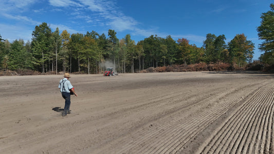 From Overgrown to Overrun: Preparing Your Land for the Ultimate Food Plot