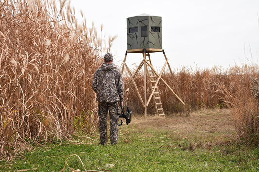 The Ultimate Screen: How Giant Miscanthus Can Enhance Your Property
