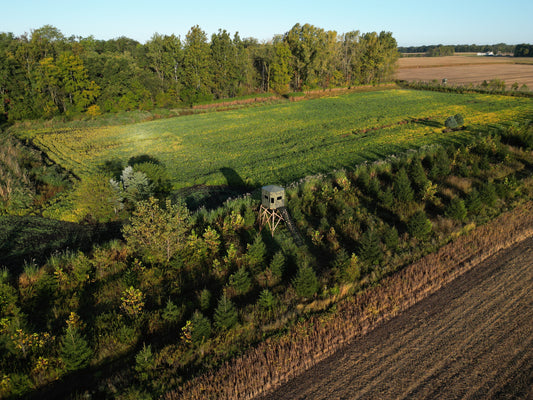 Revising Your Food Plot to Create a Successful Harvest: Spring Food Plot Planning