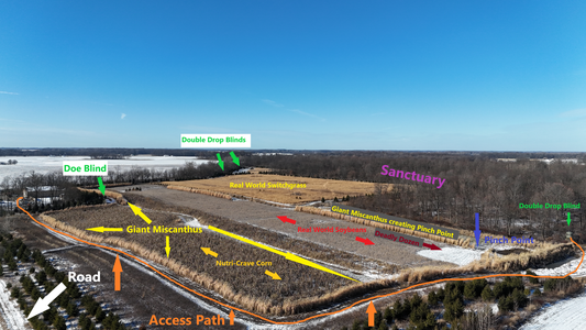 Planning a Successful Food Plot: Location, Scale, and Strategy for Hunters