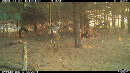 Scrape Magnet – Synthetic Scrape Attractant