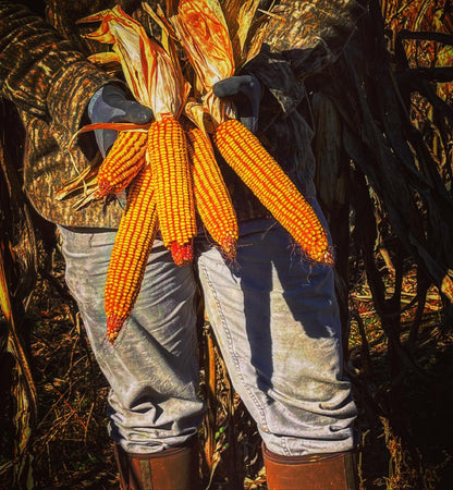 Real World's Nutri-Crave Corn
