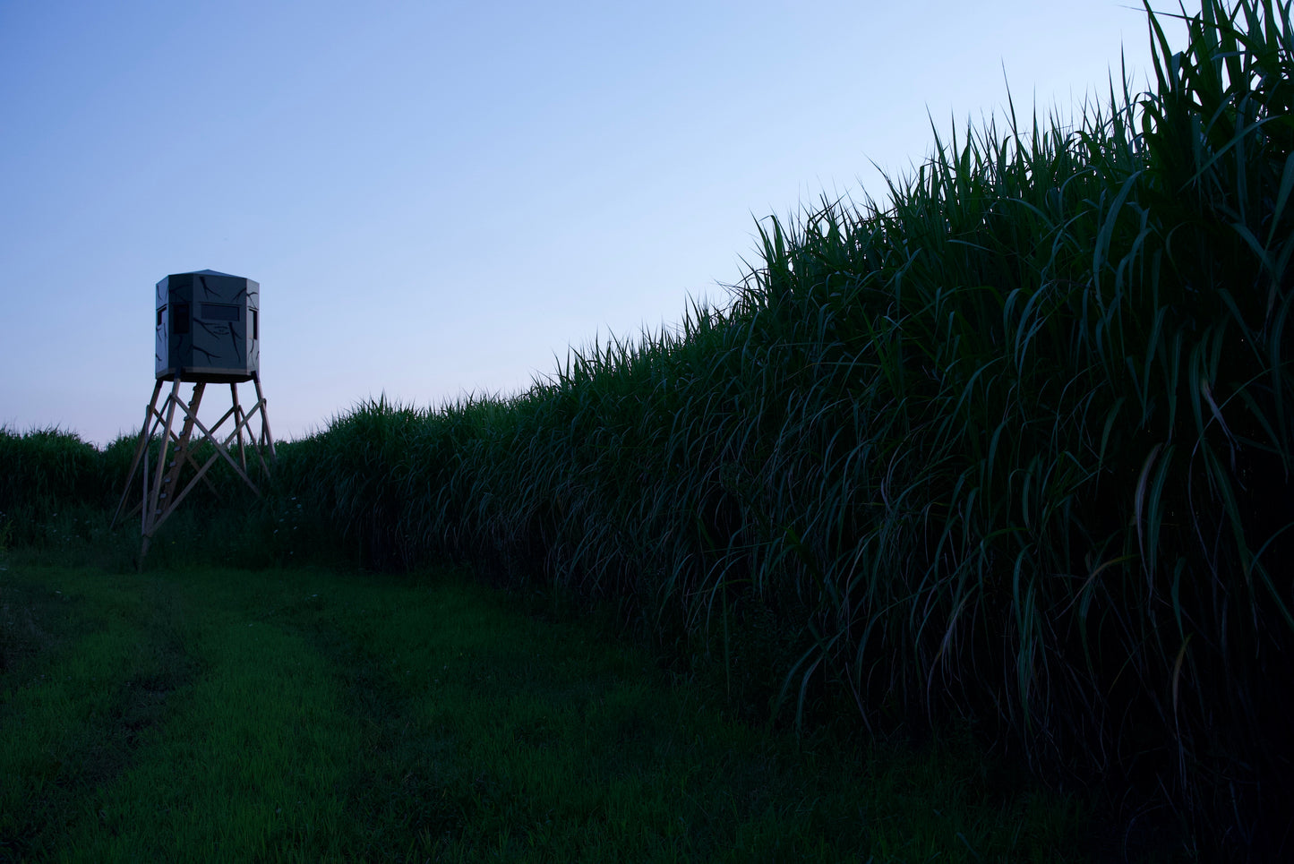 Double Drop Hunting Blinds