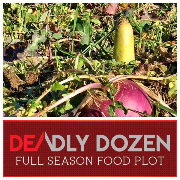 Real World's Deadly Dozen
