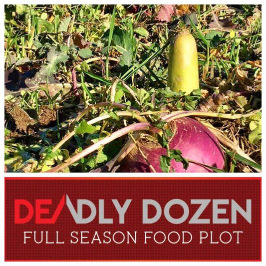 Real World's Deadly Dozen