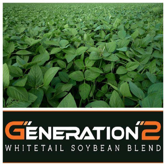Real World's Generation 2 Soybeans (50 lb bag)