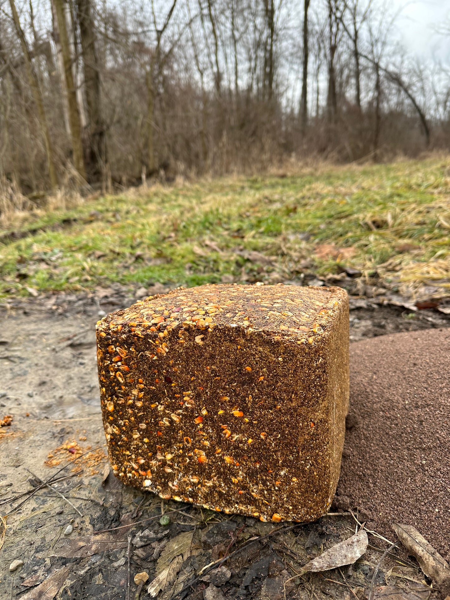 Real World's Nutri-Crave Deer Block