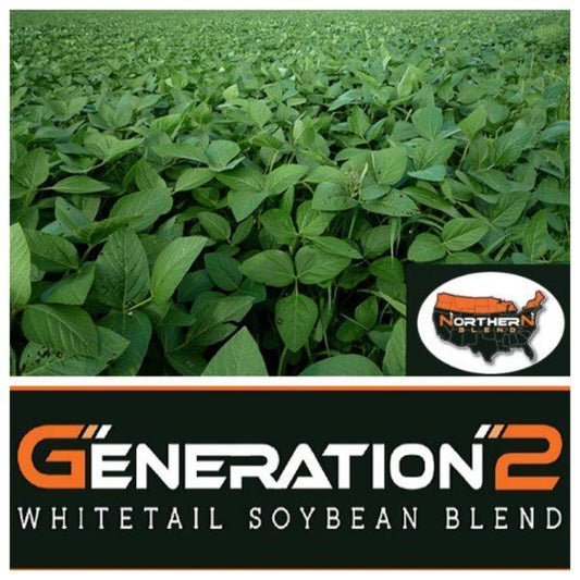 Real World's Northern Soybeans