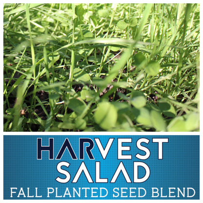 Real World's Harvest Salad