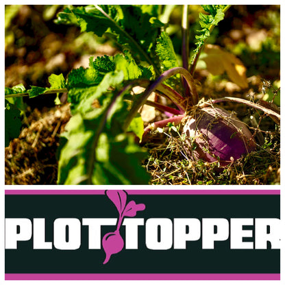 Real World's Plot Topper