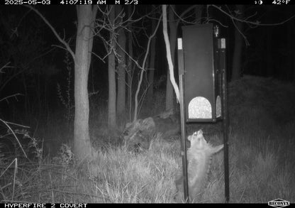 Quest Deer Block Feeder