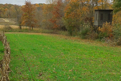 Real World's Forage Oat Blend