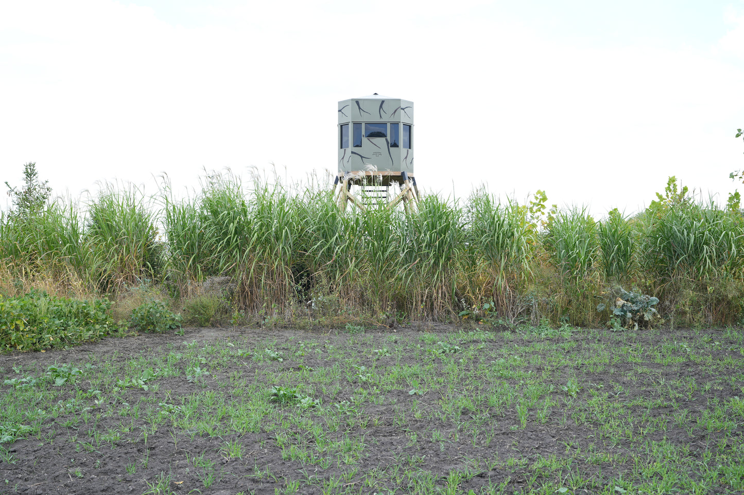 Double Drop Hunting Blinds
