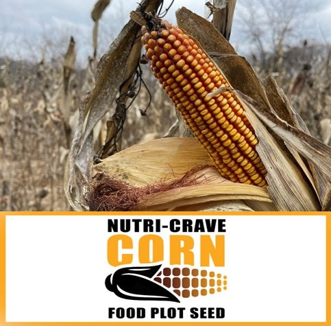 Real World's Nutri-Crave Corn