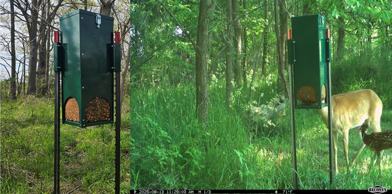 Quest Deer Block Feeder