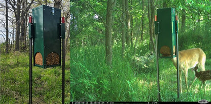 Quest Deer Block Feeder