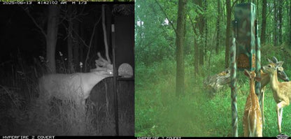 Quest Deer Block Feeder