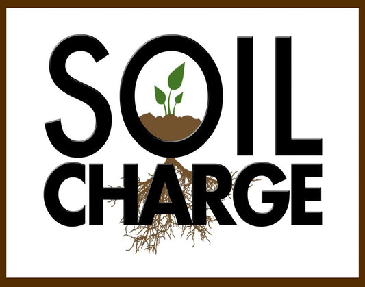 Real World's Soil-Charge Soil Builder Blend