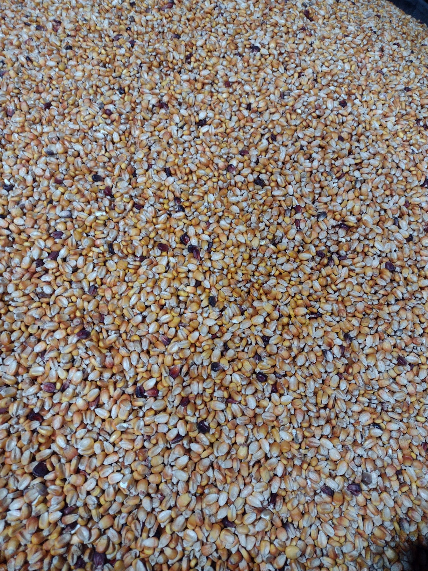 Real World's Nutri-Crave Deer Corn
